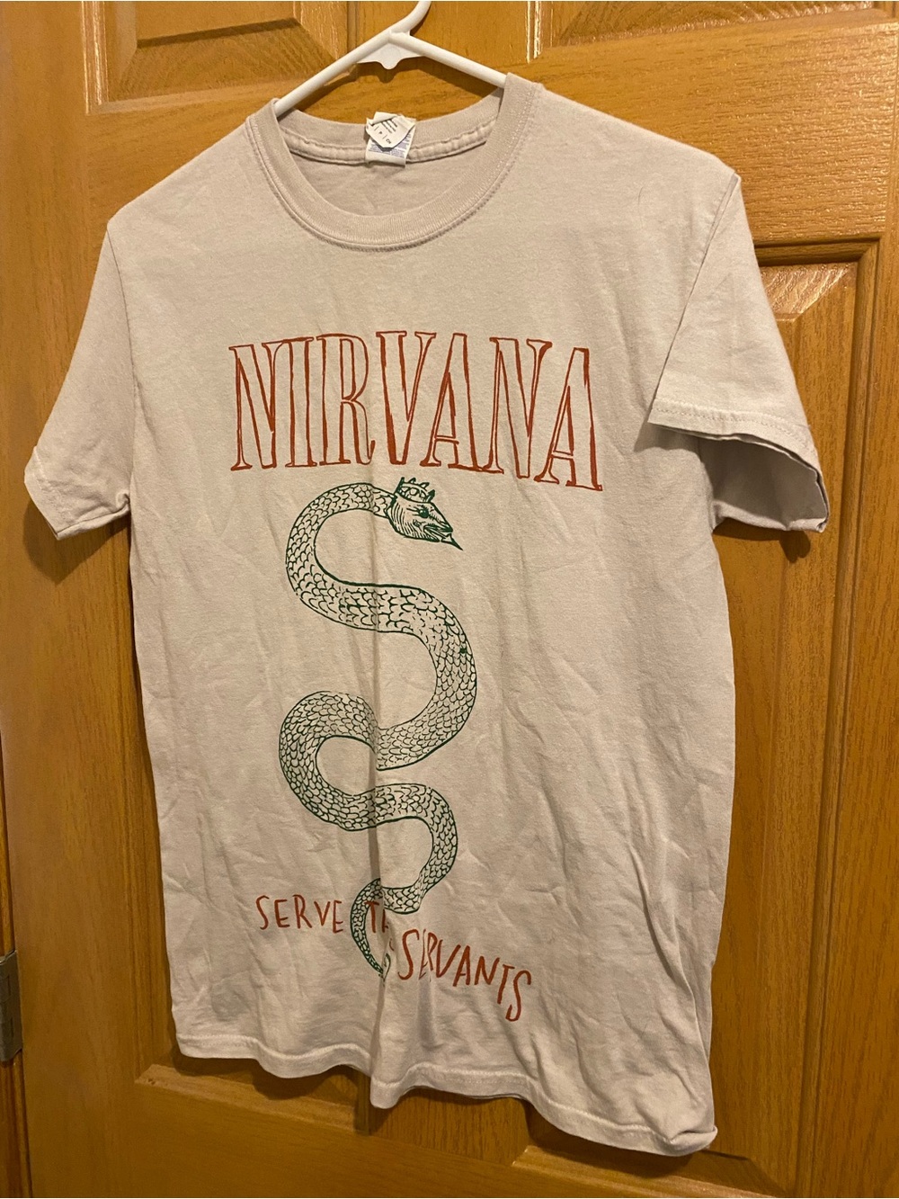 NIRVANA Snake Graphic Tee in Light Beige with Green and Red Print
